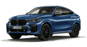 BMW M Performance 原廠 水箱罩 / 黑鼻頭 (高亮黑) For G06 X6