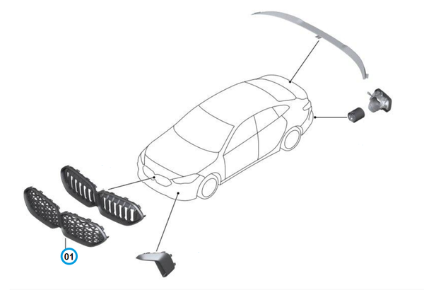 BMW M Performance 原廠 水箱罩 / 黑鼻頭 (網狀)  For F44