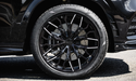 Larte Design 原廠 Carbon 碳纖維 輪拱側飾板 For Mercedes Benz GLS ( X167 )