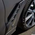 Larte Design 原廠 Carbon 碳纖維 葉子板 飾板 飾蓋 側飾板 For BMW X6 ( G06 )