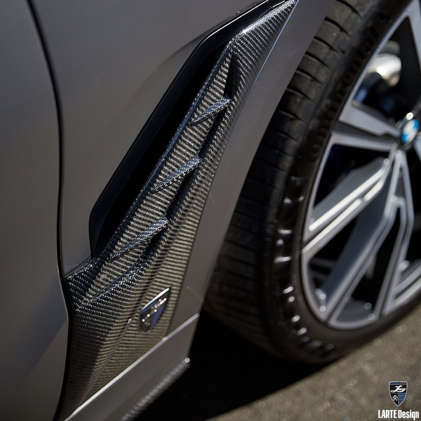 Larte Design 原廠 Carbon 碳纖維 葉子板 飾板 飾蓋 側飾板 For BMW X6 ( G06 )