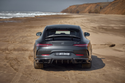 Larte Design 原廠 Carbon 碳纖維 尾翼 / 後擾流 For Mercedes Benz AMG GT
