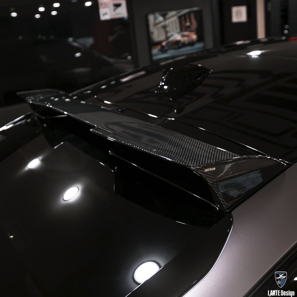 Larte Design 原廠 後上尾翼 / 擾流板 (烤漆版) For BMW X6 ( G06 )