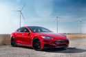 Larte Design 原廠 Carbon 碳纖維 葉子板 飾板 飾蓋 側飾板 For TESLA Model S