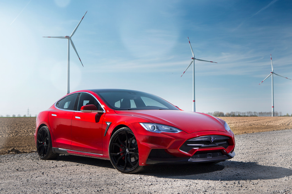 Larte Design 原廠 Carbon 碳纖維 葉子板 飾板 飾蓋 側飾板 For TESLA Model S