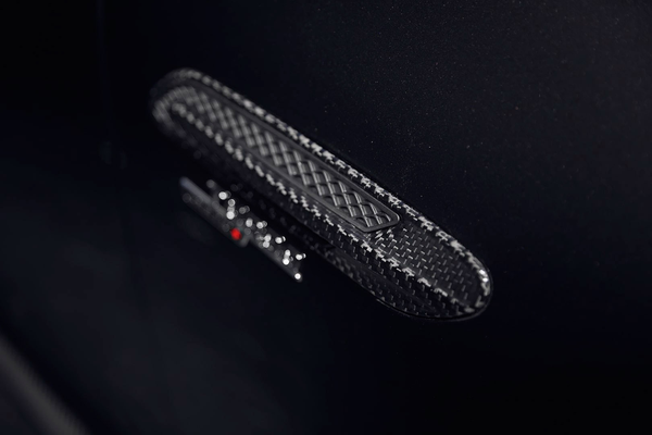 Larte Design 原廠 Carbon 碳纖維 葉子板 飾板 飾蓋 側飾板 For Mercedes Benz AMG GT