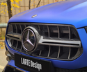 Larte Design 原廠 Carbon 碳纖維 水箱罩 For Mercedes Benz GLE Coupe ( C167 )