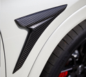 Larte Design 原廠 Carbon 碳纖維 葉子板 飾板 飾蓋 側飾板 For Mercedes Benz AMG GLE 63 S Coupe ( C167 )