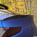 Larte Design 原廠 Carbon 碳纖維 尾翼 / 後擾流 For Mercedes Benz GLE Coupe ( C167 )