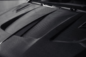 Larte Design 原廠 Carbon 碳纖維 引擎蓋 For Mercedes Benz GLE Coupe ( C167 )