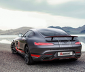 Akrapovic 原廠 Titanium 鈦合金 排氣管 蠍子管 For Mercedes-AMG GT / GT S / GT C ( C190 / R190 )